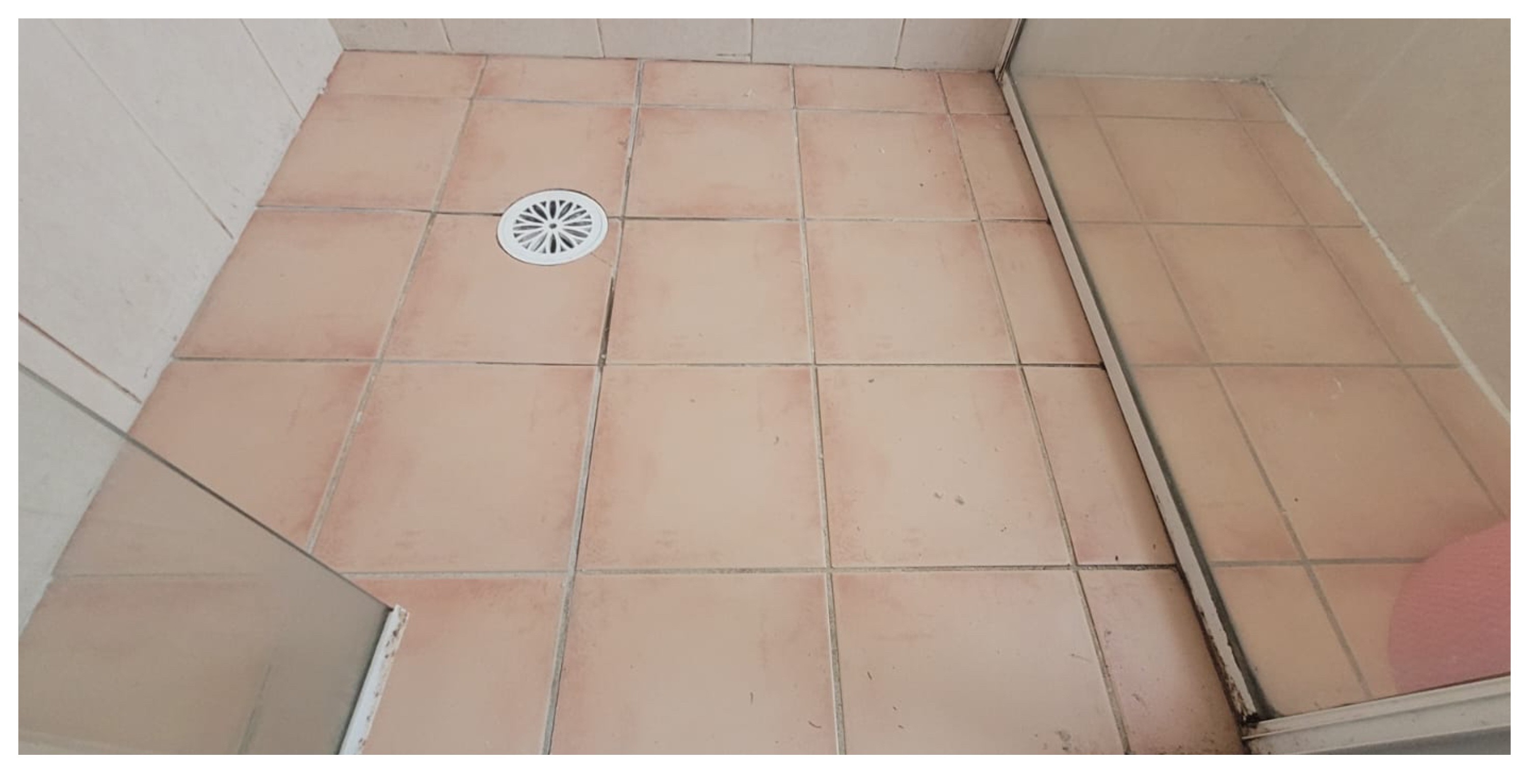 Shower before repair