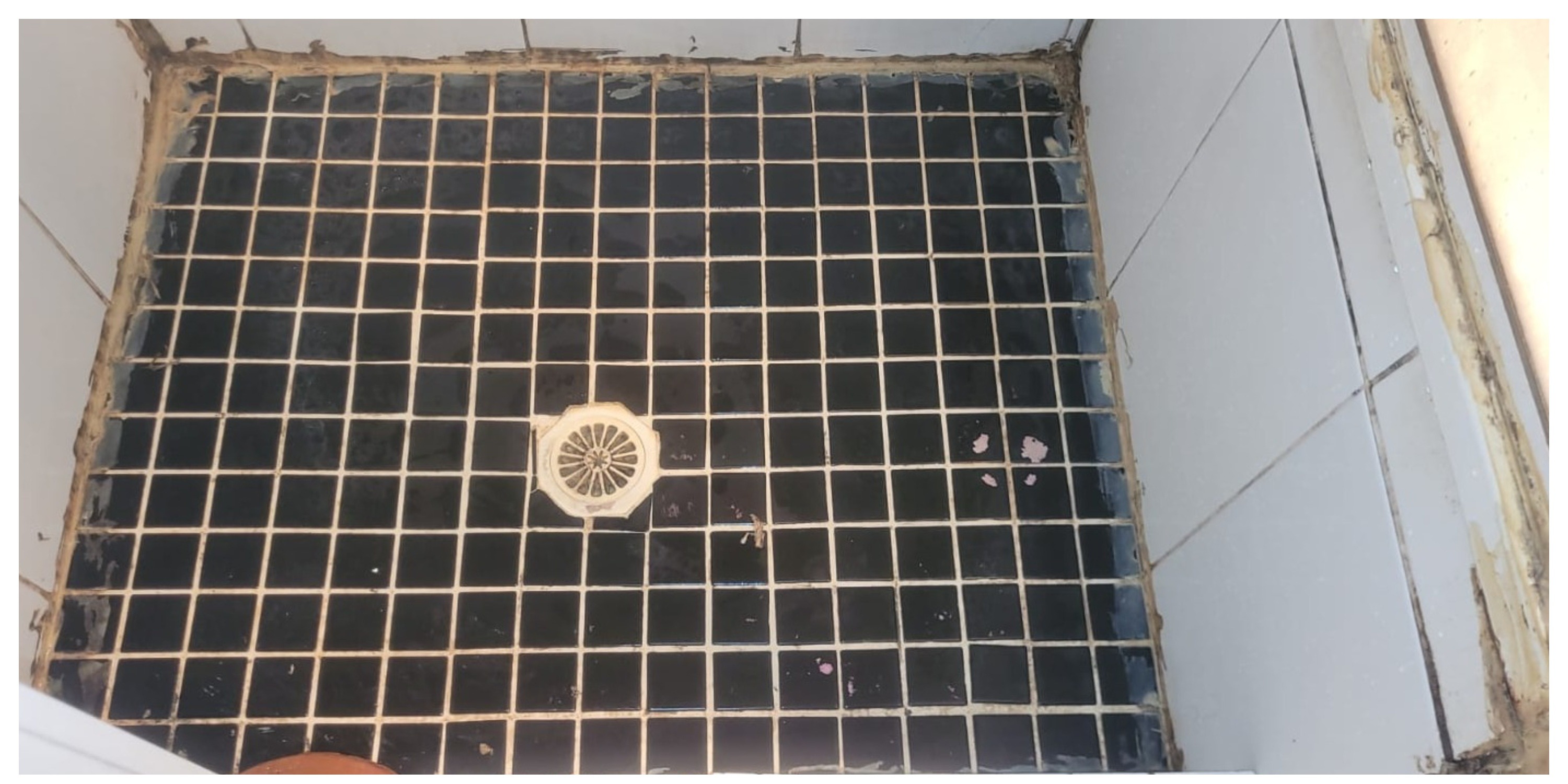 Shower before repair